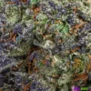 GMO Cookies - Image 2